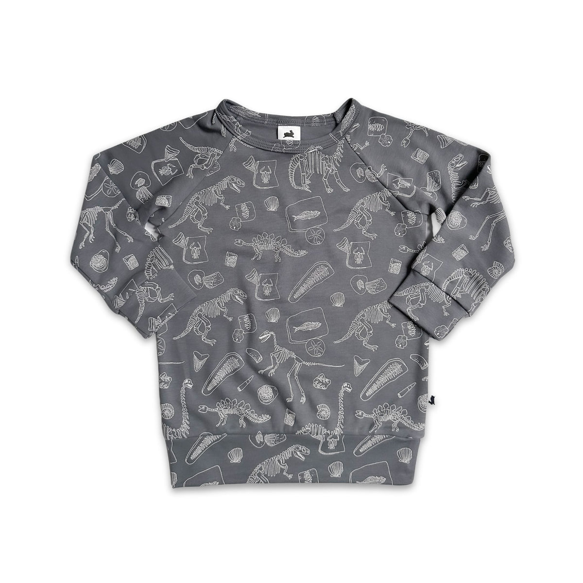 Kids Bamboo Raglan Pullover | Prints