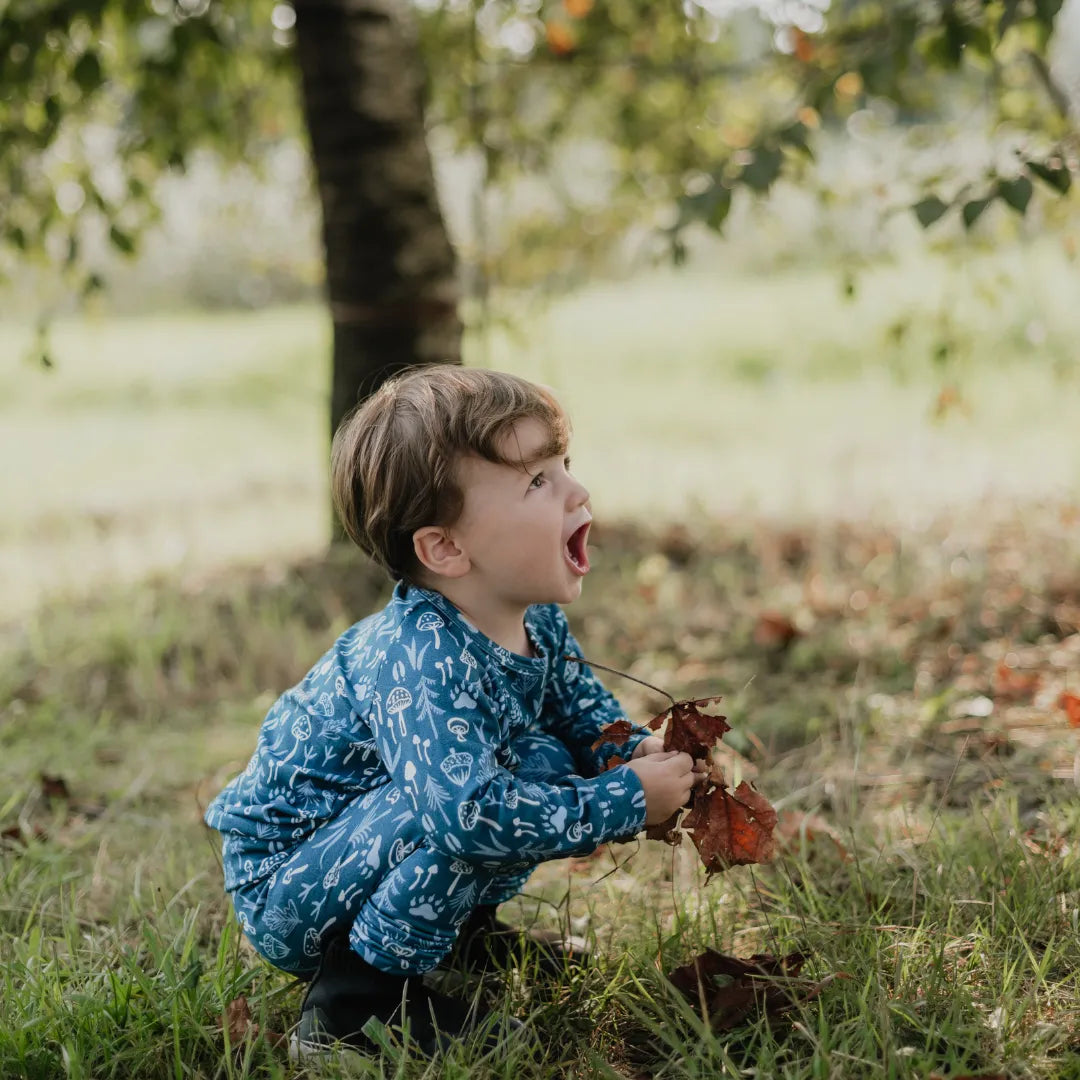 Kids Bamboo Raglan Pullover | Prints